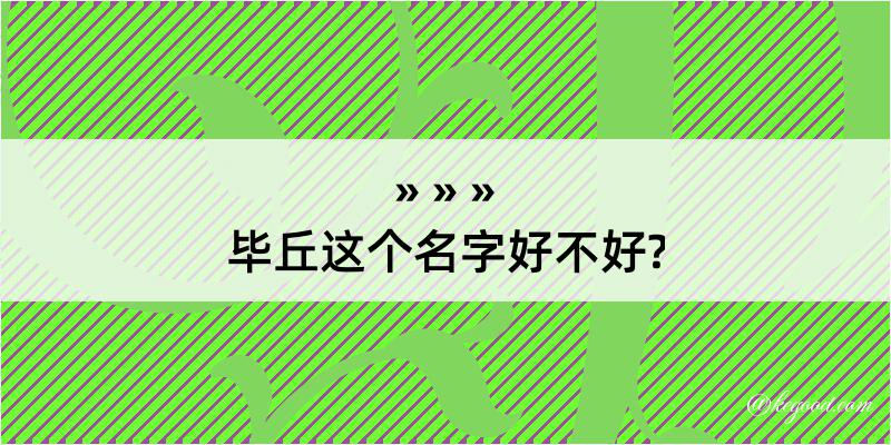 毕丘这个名字好不好?