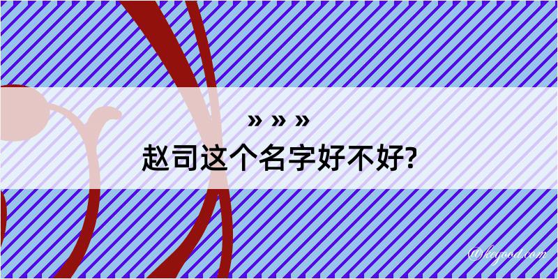 赵司这个名字好不好?