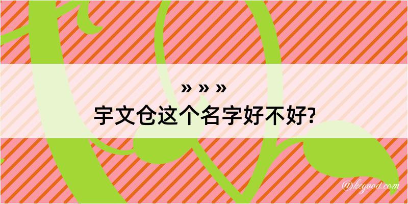 宇文仓这个名字好不好?