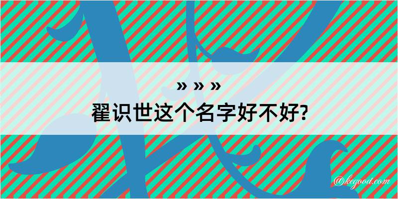 翟识世这个名字好不好?