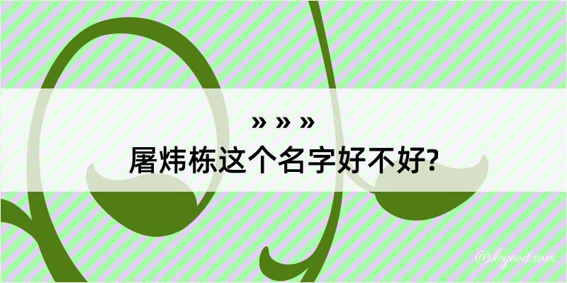 屠炜栋这个名字好不好?