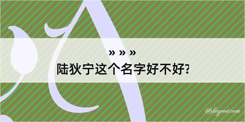 陆狄宁这个名字好不好?