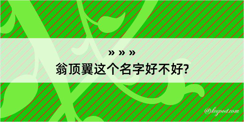 翁顶翼这个名字好不好?