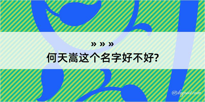 何天嵩这个名字好不好?