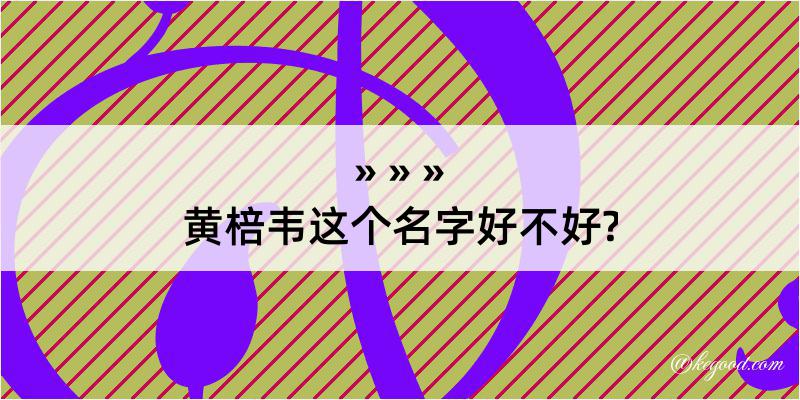 黄棓韦这个名字好不好?