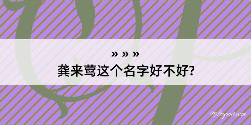 龚来莺这个名字好不好?