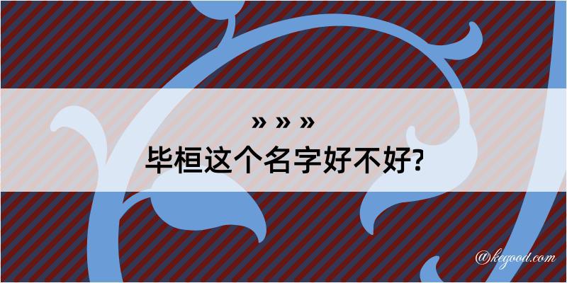 毕桓这个名字好不好?