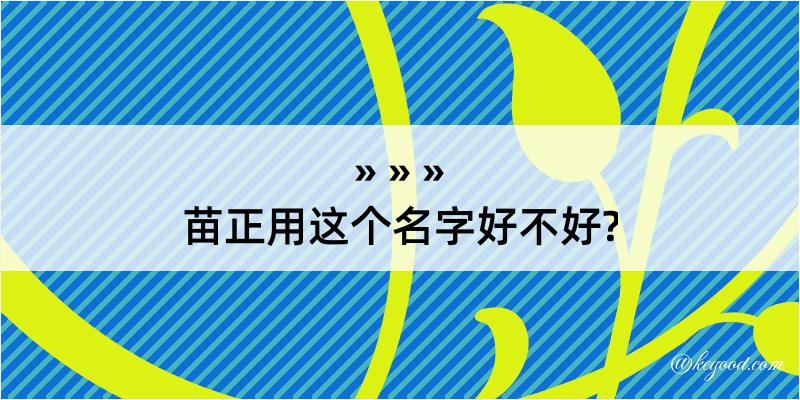 苗正用这个名字好不好?