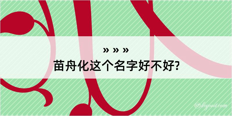 苗舟化这个名字好不好?