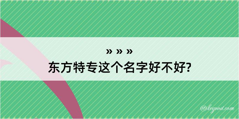 东方特专这个名字好不好?