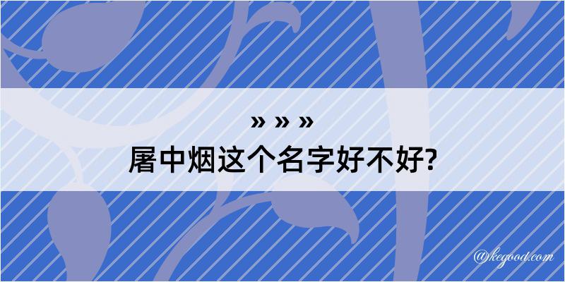 屠中烟这个名字好不好?