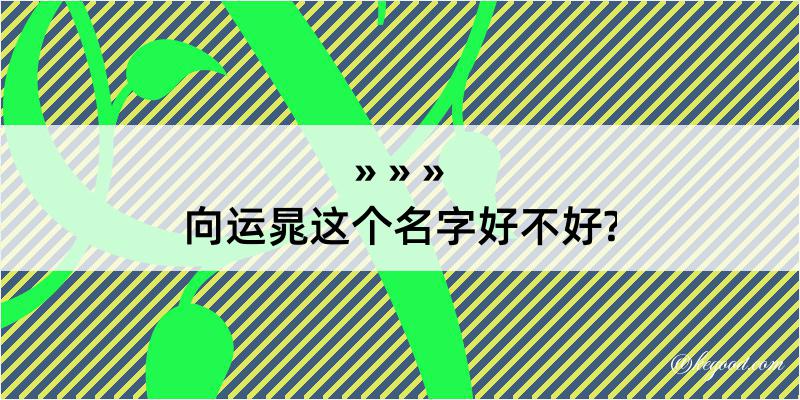 向运晁这个名字好不好?