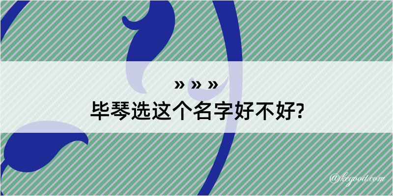 毕琴选这个名字好不好?