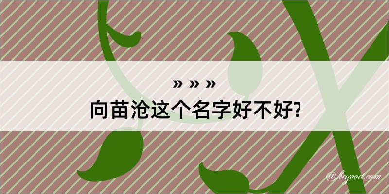 向苗沧这个名字好不好?