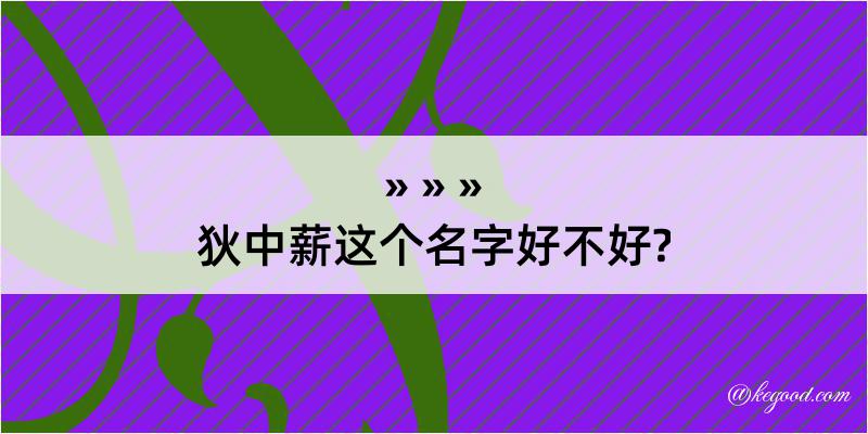 狄中薪这个名字好不好?