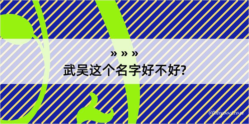 武吴这个名字好不好?