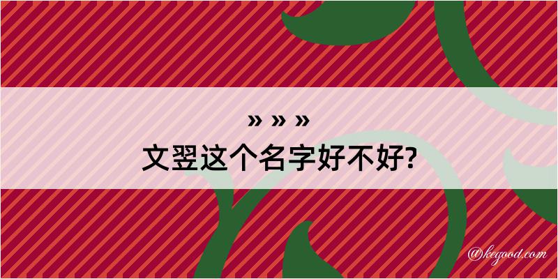 文翌这个名字好不好?