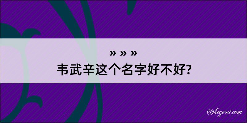 韦武辛这个名字好不好?