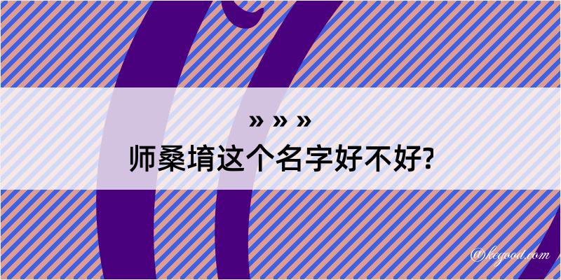 师桑堉这个名字好不好?