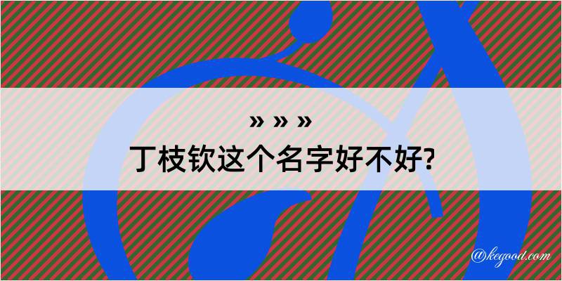 丁枝钦这个名字好不好?