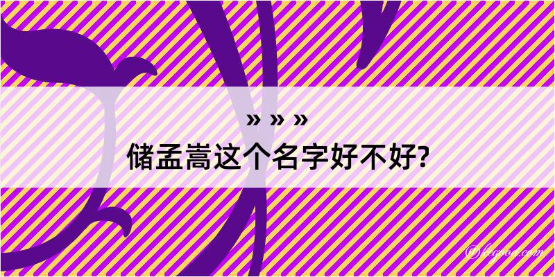 储孟嵩这个名字好不好?