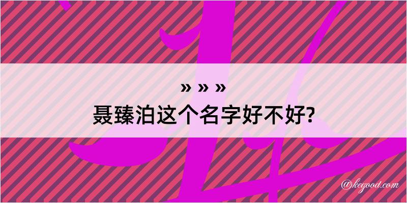 聂臻泊这个名字好不好?