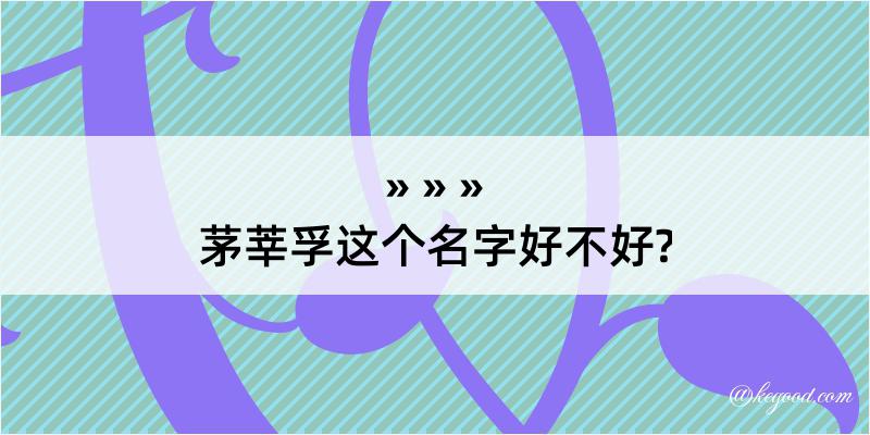 茅莘孚这个名字好不好?