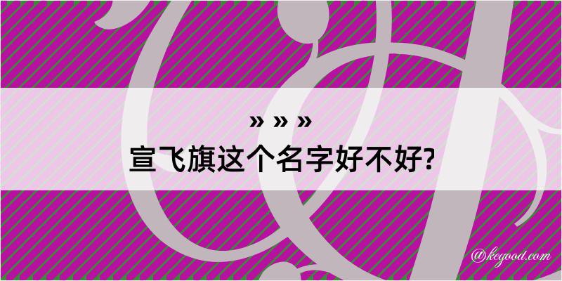 宣飞旗这个名字好不好?