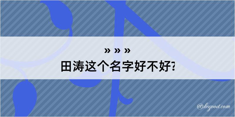 田涛这个名字好不好?