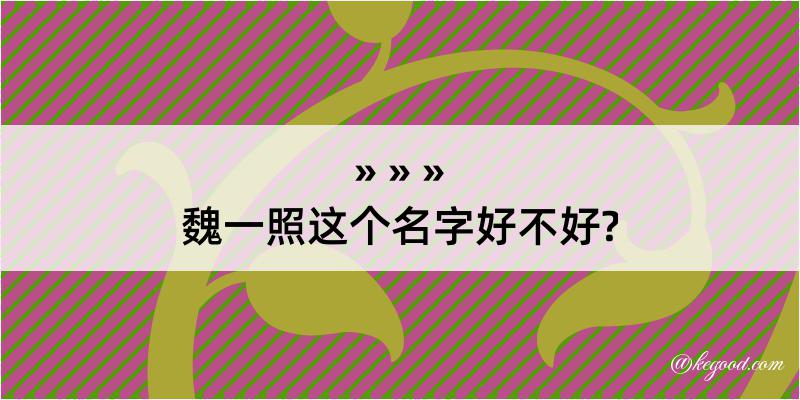 魏一照这个名字好不好?