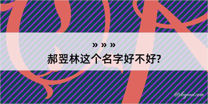 郝翌林这个名字好不好?