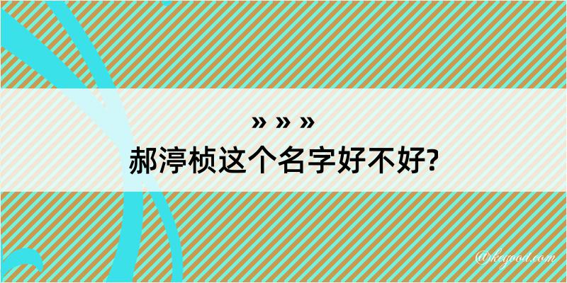 郝渟桢这个名字好不好?