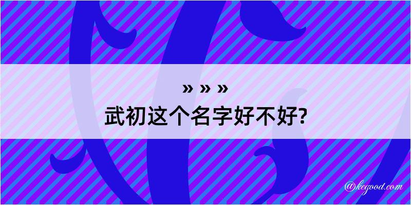 武初这个名字好不好?