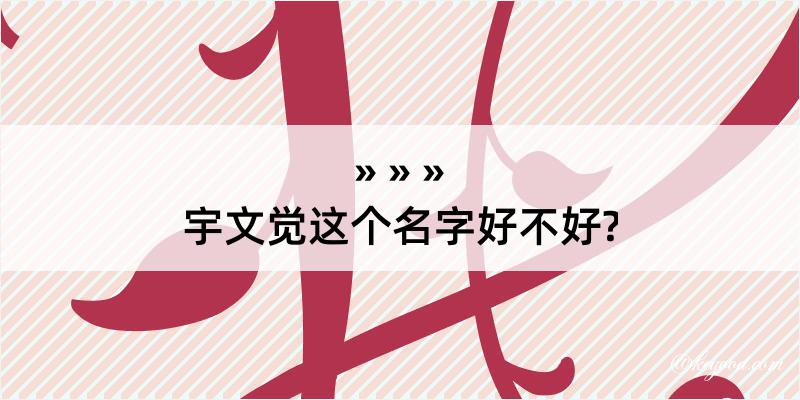 宇文觉这个名字好不好?