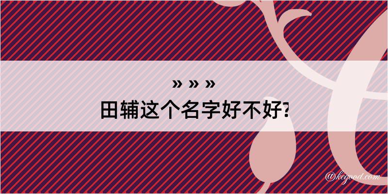 田辅这个名字好不好?