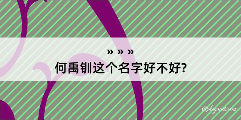 何禹钏这个名字好不好?