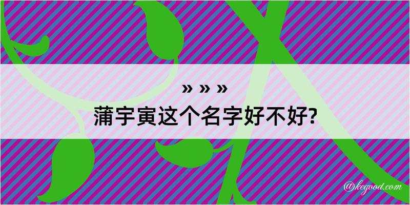 蒲宇寅这个名字好不好?