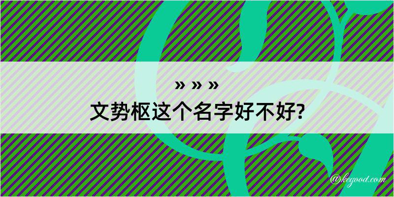 文势枢这个名字好不好?