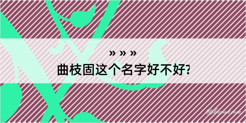 曲枝固这个名字好不好?