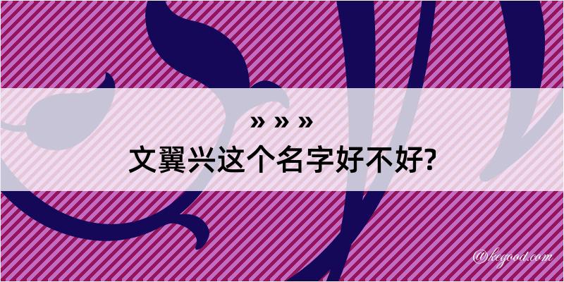 文翼兴这个名字好不好?