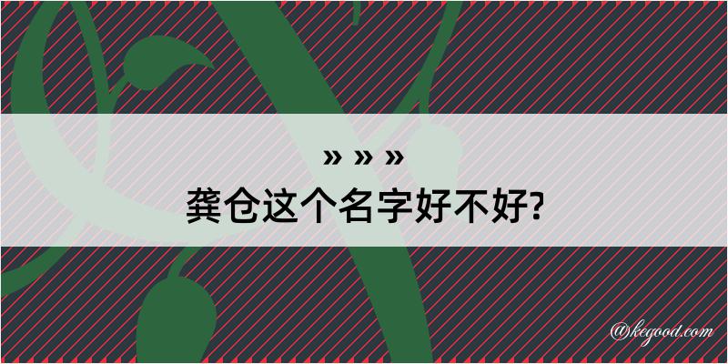 龚仓这个名字好不好?