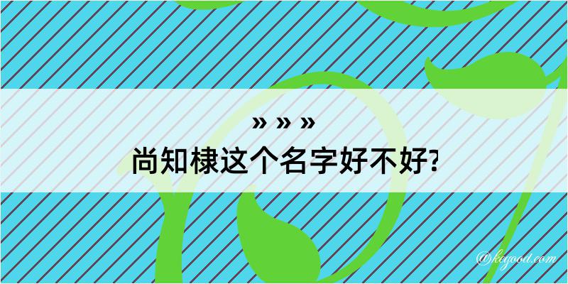 尚知棣这个名字好不好?