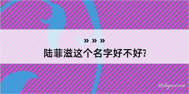 陆菲滋这个名字好不好?