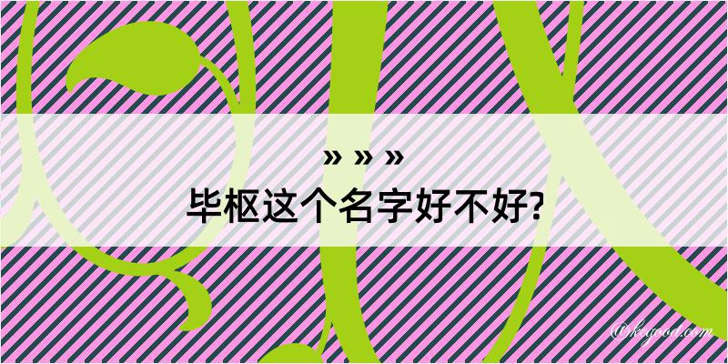 毕枢这个名字好不好?