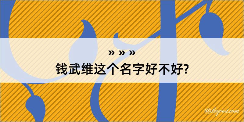 钱武维这个名字好不好?