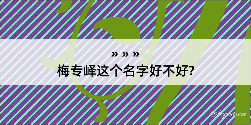 梅专峄这个名字好不好?