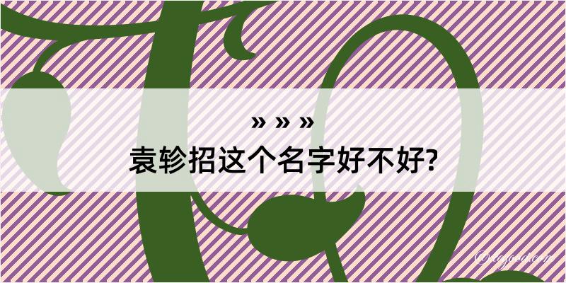 袁轸招这个名字好不好?