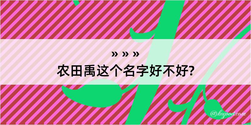 农田禹这个名字好不好?