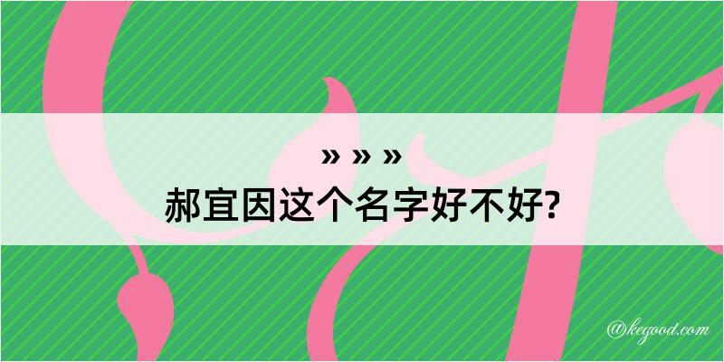 郝宜因这个名字好不好?