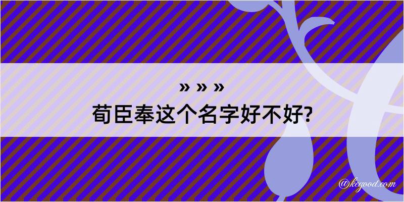 荀臣奉这个名字好不好?